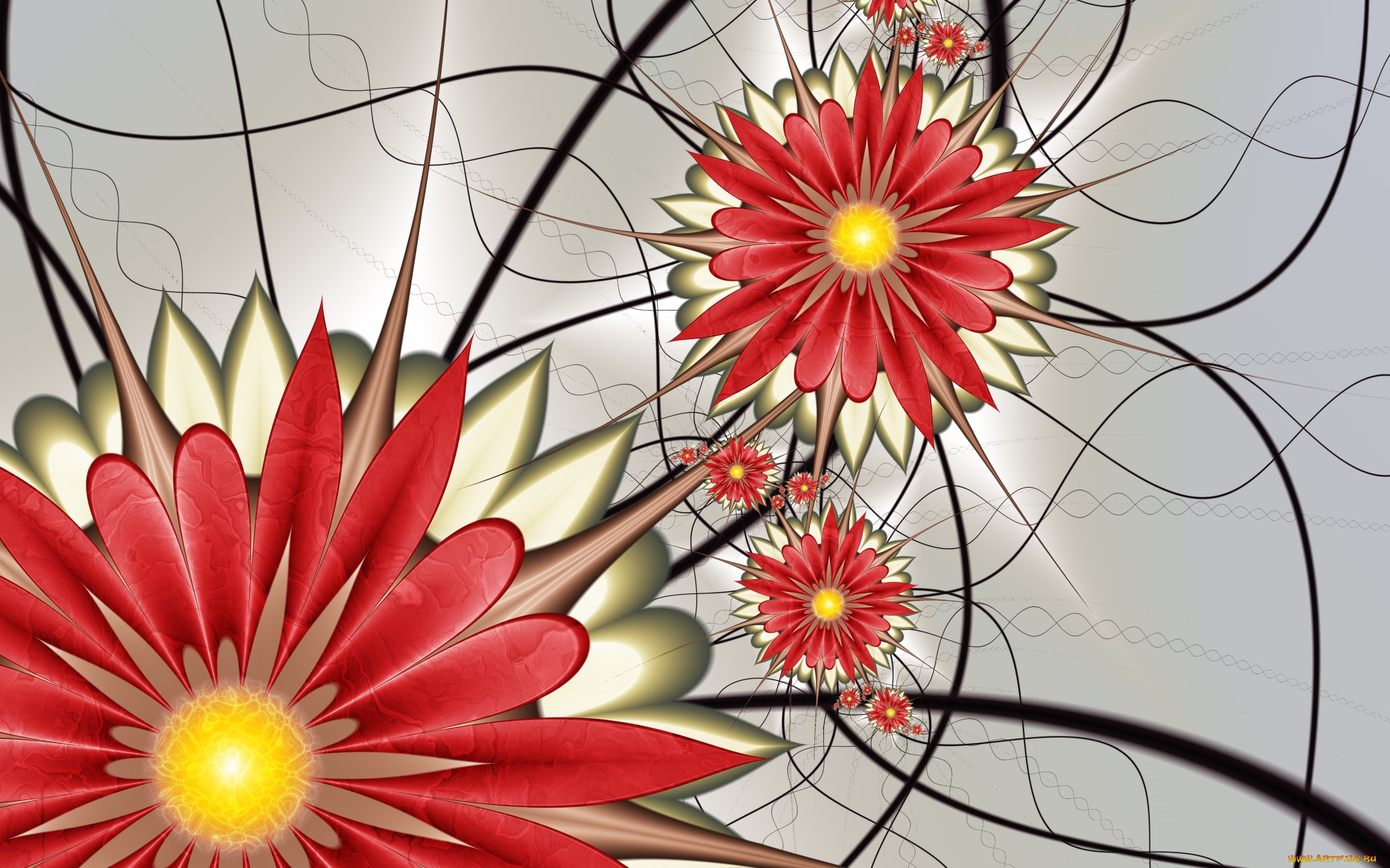 3 ,  , flowers, , , 